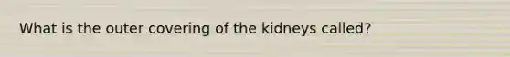 What is the outer covering of the kidneys called?