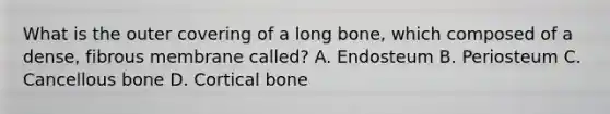 What is the outer covering of a long bone, which composed of a dense, fibrous membrane called? A. Endosteum B. Periosteum C. Cancellous bone D. Cortical bone