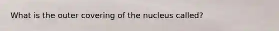 What is the outer covering of the nucleus called?