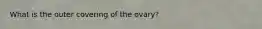 What is the outer covering of the ovary?