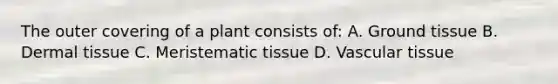 The outer covering of a plant consists of: A. Ground tissue B. Dermal tissue C. Meristematic tissue D. Vascular tissue