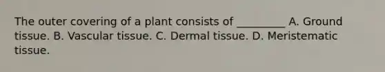 The outer covering of a plant consists of _________ A. Ground tissue. B. Vascular tissue. C. Dermal tissue. D. Meristematic tissue.