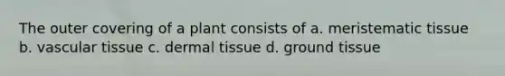 The outer covering of a plant consists of a. meristematic tissue b. vascular tissue c. dermal tissue d. ground tissue