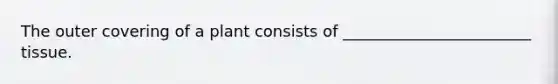 The outer covering of a plant consists of ________________________ tissue.