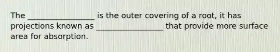 The _________________ is the outer covering of a root, it has projections known as _________________ that provide more surface area for absorption.