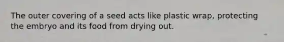 The outer covering of a seed acts like plastic wrap, protecting the embryo and its food from drying out.