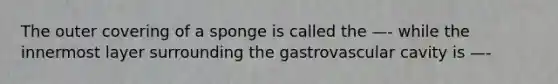 The outer covering of a sponge is called the —- while the innermost layer surrounding the gastrovascular cavity is —-