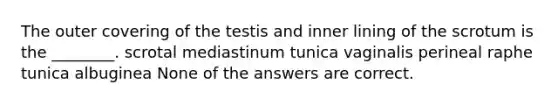 The outer covering of the testis and inner lining of the scrotum is the ________. scrotal mediastinum tunica vaginalis perineal raphe tunica albuginea None of the answers are correct.