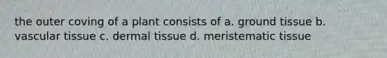 the outer coving of a plant consists of a. ground tissue b. vascular tissue c. dermal tissue d. meristematic tissue