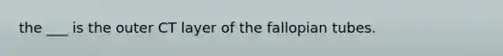 the ___ is the outer CT layer of the fallopian tubes.