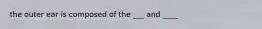 the outer ear is composed of the ___ and ____