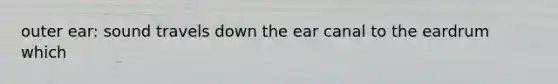 outer ear: sound travels down the ear canal to the eardrum which