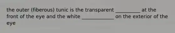 the outer (fiberous) tunic is the transparent __________ at the front of the eye and the white _____________ on the exterior of the eye