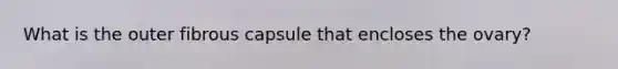 What is the outer fibrous capsule that encloses the ovary?