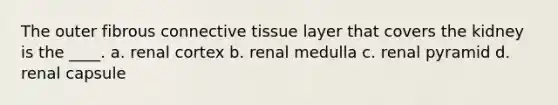 The outer fibrous connective tissue layer that covers the kidney is the ____. a. renal cortex b. renal medulla c. renal pyramid d. renal capsule