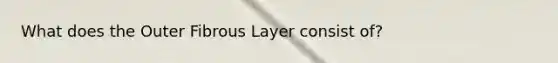 What does the Outer Fibrous Layer consist of?