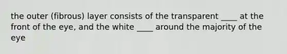 the outer (fibrous) layer consists of the transparent ____ at the front of the eye, and the white ____ around the majority of the eye