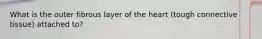 What is the outer fibrous layer of the heart (tough connective tissue) attached to?