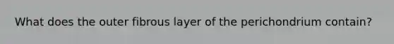 What does the outer fibrous layer of the perichondrium contain?