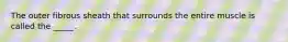 The outer fibrous sheath that surrounds the entire muscle is called the _____.