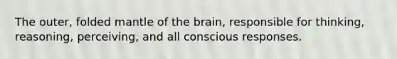 The outer, folded mantle of the brain, responsible for thinking, reasoning, perceiving, and all conscious responses.