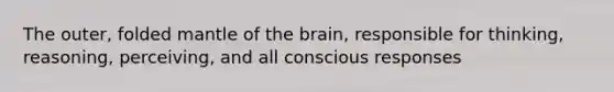 The outer, folded mantle of the brain, responsible for thinking, reasoning, perceiving, and all conscious responses