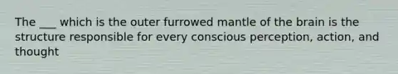 The ___ which is the outer furrowed mantle of the brain is the structure responsible for every conscious perception, action, and thought