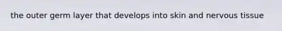 the outer germ layer that develops into skin and <a href='https://www.questionai.com/knowledge/kqA5Ws88nP-nervous-tissue' class='anchor-knowledge'>nervous tissue</a>
