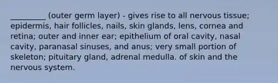 _________ (outer germ layer) - gives rise to all nervous tissue; epidermis, hair follicles, nails, skin glands, lens, cornea and retina; outer and inner ear; epithelium of oral cavity, nasal cavity, paranasal sinuses, and anus; very small portion of skeleton; pituitary gland, adrenal medulla. of skin and the nervous system.