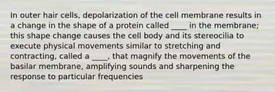 In outer hair cells, depolarization of the cell membrane results in a change in the shape of a protein called ____ in the membrane; this shape change causes the cell body and its stereocilia to execute physical movements similar to stretching and contracting, called a ____, that magnify the movements of the basilar membrane, amplifying sounds and sharpening the response to particular frequencies