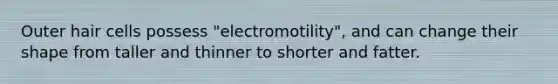 Outer hair cells possess "electromotility", and can change their shape from taller and thinner to shorter and fatter.