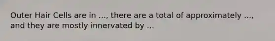 Outer Hair Cells are in ..., there are a total of approximately ..., and they are mostly innervated by ...