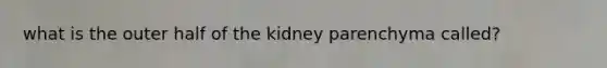 what is the outer half of the kidney parenchyma called?