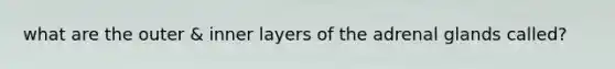 what are the outer & inner layers of the adrenal glands called?