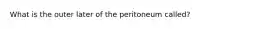 What is the outer later of the peritoneum called?