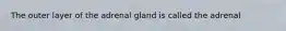 The outer layer of the adrenal gland is called the adrenal