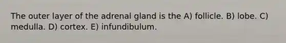 The outer layer of the adrenal gland is the A) follicle. B) lobe. C) medulla. D) cortex. E) infundibulum.