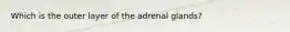 Which is the outer layer of the adrenal glands?