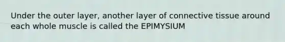 Under the outer layer, another layer of connective tissue around each whole muscle is called the EPIMYSIUM