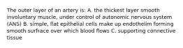 The outer layer of an artery is: A. the thickest layer smooth involuntary muscle, under control of autonomic nervous system (ANS) B. simple, flat epithelial cells make up endothelim forming smooth surfrace over which blood flows C. supporting connective tissue