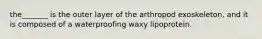 the_______ is the outer layer of the arthropod exoskeleton, and it is composed of a waterproofing waxy lipoprotein.