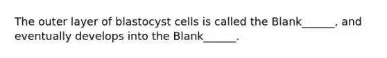 The outer layer of blastocyst cells is called the Blank______, and eventually develops into the Blank______.