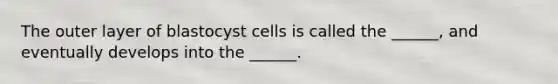 The outer layer of blastocyst cells is called the ______, and eventually develops into the ______.