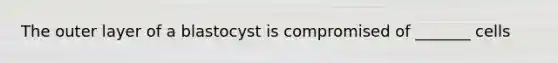 The outer layer of a blastocyst is compromised of _______ cells