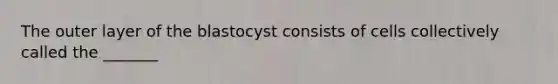 The outer layer of the blastocyst consists of cells collectively called the _______