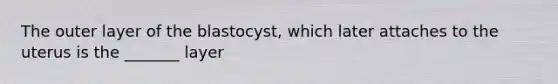 The outer layer of the blastocyst, which later attaches to the uterus is the _______ layer