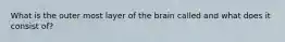 What is the outer most layer of the brain called and what does it consist of?