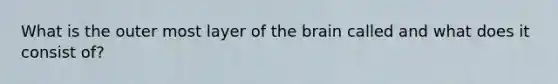 What is the outer most layer of the brain called and what does it consist of?