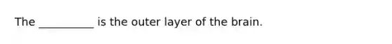 The __________ is the outer layer of the brain.