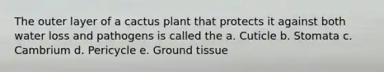 The outer layer of a cactus plant that protects it against both water loss and pathogens is called the a. Cuticle b. Stomata c. Cambrium d. Pericycle e. <a href='https://www.questionai.com/knowledge/kb0kKBaH0H-ground-tissue' class='anchor-knowledge'>ground tissue</a>